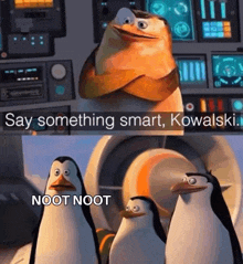 a group of penguins are standing next to each other with the caption say something smart , kowalski .