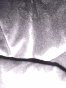 a close up of a gray and white blanket