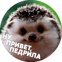 a picture of a hedgehog in a circle with the words " ну привет " on it