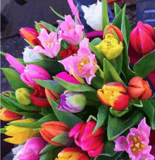 a bunch of colorful flowers including pink orange and yellow