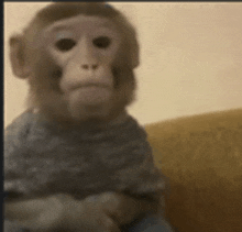 a monkey is sitting on a couch wearing a grey sweater