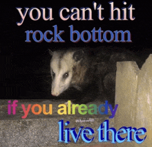 a picture of an opossum with the words " you can t hit rock bottom if you already live there "