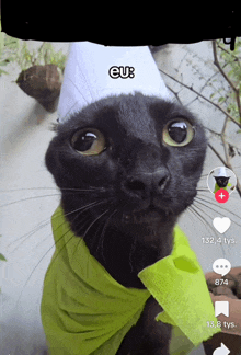 a black cat wearing a green scarf and a white hat with eu written on the top