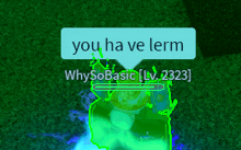 a screenshot of a video game that says " you have lerm "