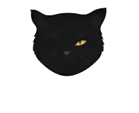 a black cat 's face with yellow eyes is shown on a white background