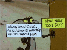 a cartoon coyote holding a sign that says now what do i do