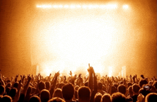 a crowd of people at a concert with their arms up in the air