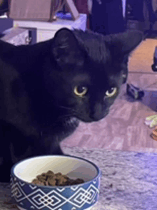 a black cat is eating from a blue and white bowl