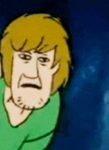 shaggy from scooby doo is making a funny face while wearing a green shirt