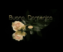 a picture of a rose with the words buona domenica above it