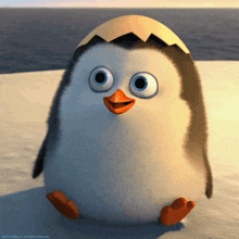 a cartoon penguin is sitting on a snowy surface with an egg shell on its head