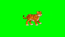 a cartoon tiger is walking on a green screen .