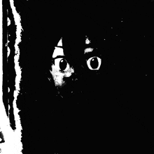 a black and white photo of a person 's face with big eyes