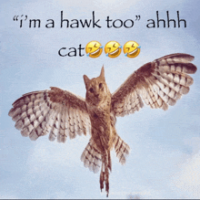 a picture of an owl with a caption that says " i 'm a hawk too " ahhh