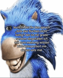 a picture of sonic the hedgehog with a german text behind it