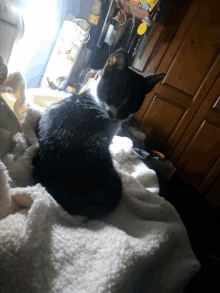 a black and white cat is laying on a white blanket in front of a washer and dryer