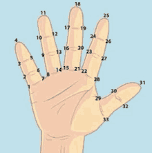 a drawing of a hand with numbers on the fingers on a blue background .