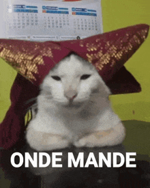 a white cat wearing a red hat with the words onde mandé written below it