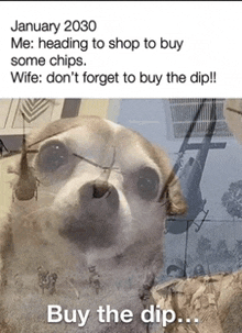 a picture of a dog with a caption that says january 2030 me : heading to shop to buy some chips