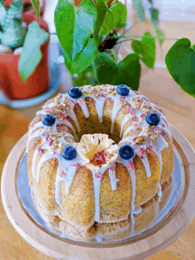 a bundt cake with blueberries and icing on top