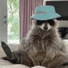 a raccoon wearing sunglasses and a hat is sitting on a bed .