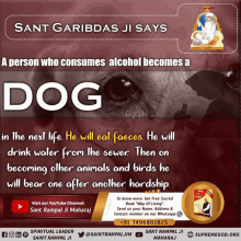 sant garibdas ji says a person who consumes alcohol becomes a dog in the next life