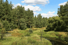 a river runs through a lush green forest on a cloudy day