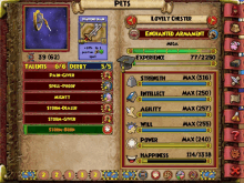 a screenshot of a game called pets shows a shield and a sword