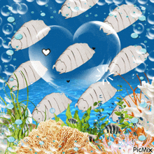 a group of fish are swimming in a heart shaped bubble with a heart in the middle