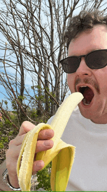 a man wearing sunglasses is eating a banana with a tree in the background