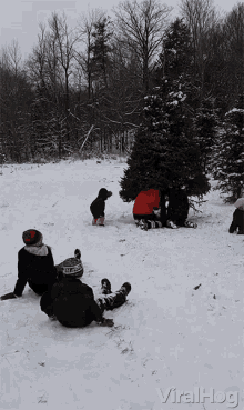 a group of people are playing in the snow with a tree in the background that says viralhog on the bottom