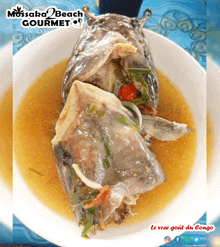 a picture of a fish in a bowl with the words mossaba beach gourmet on the bottom