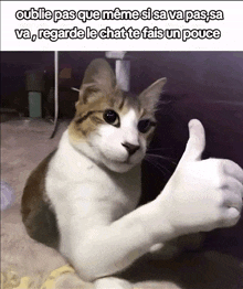 a brown and white cat giving a thumbs up in a meme