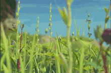 a cartoon ant is standing in a field of grass