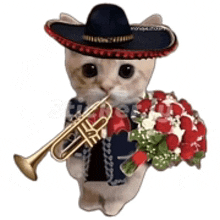 a cat wearing a sombrero is playing a trumpet and holding a bouquet of flowers .