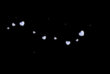 a bunch of white hearts are falling from the sky on a black background .