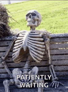 a skeleton is sitting on a wooden bench with the words patiently waiting below him