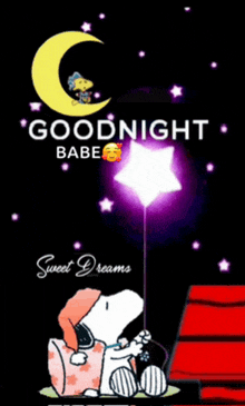 snoopy is sitting under a crescent moon and holding a star .