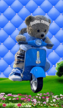 a teddy bear is riding a blue scooter with the name anita cruz written on it