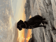 a black dog is standing on a rock near a body of water