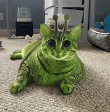 a green cat with a crown on its head is laying on a carpet