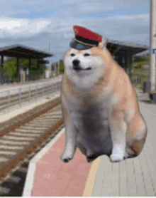 a dog wearing a red hat is sitting on a train track