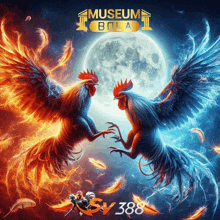 two roosters are fighting in front of a full moon in a poster for museum bola