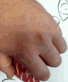 a close up of a person 's hand holding a red and white striped object .