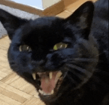 a black cat is laying on the floor with its mouth open and teeth showing .