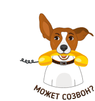 a brown and white dog is holding a yellow telephone with the words " может созвон " written below it