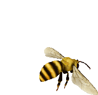 a yellow and black bee with white wings is flying in the air