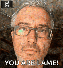 a man with glasses and a beard says " you are lame " in front of a pirate flag