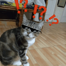 a cat wearing sunglasses with a question mark around it