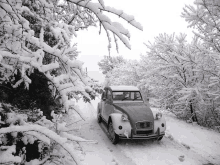 a car is driving down a snowy road in the woods